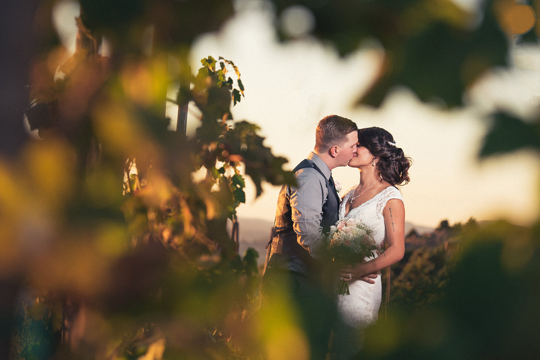 Bride and groom kissing in a vineyard